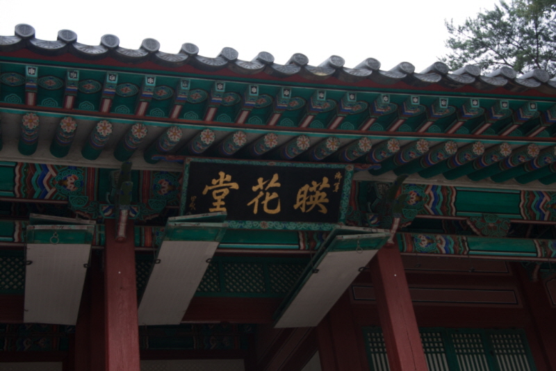 꾸미기_꾸미기_AIMG_4701.jpg