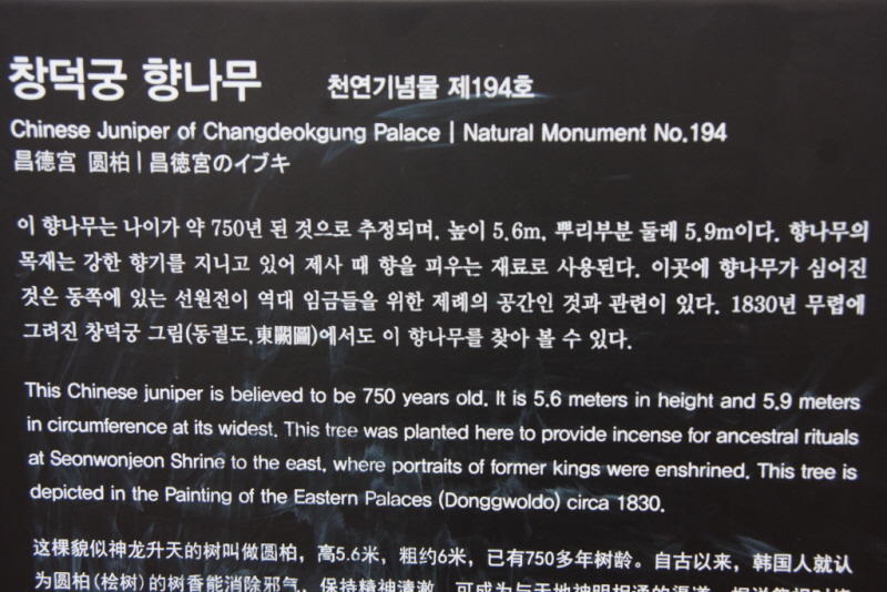 꾸미기_꾸미기_AIMG_4763.jpg