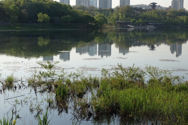 수 012.JPG