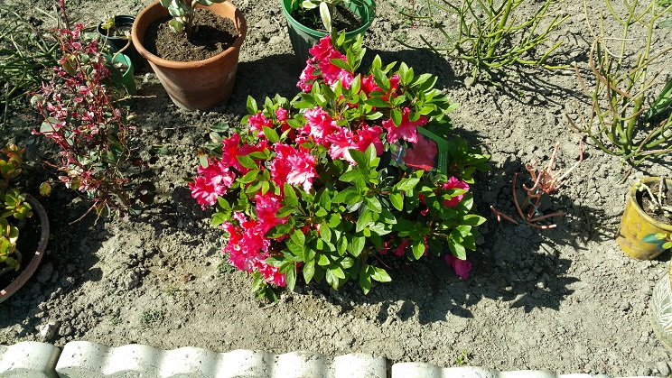 20170319_150811-14.jpg