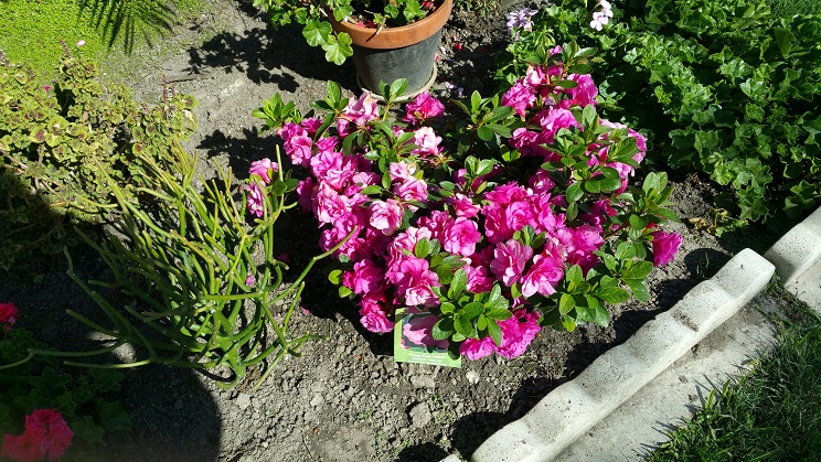 20170319_150931-14.jpg
