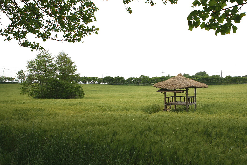 080509_0005.jpg