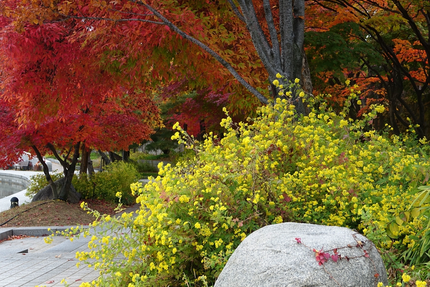 DSC08629.JPG