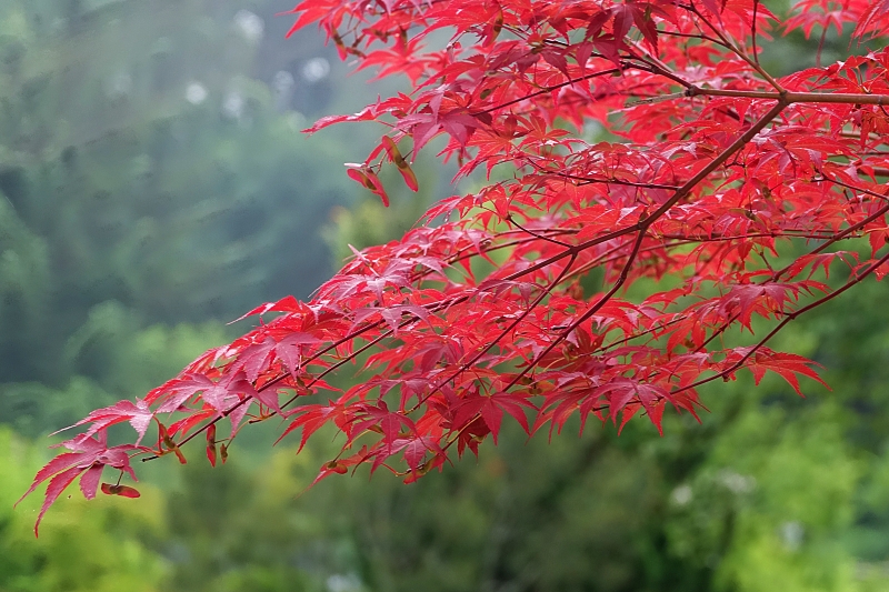 산 026.JPG