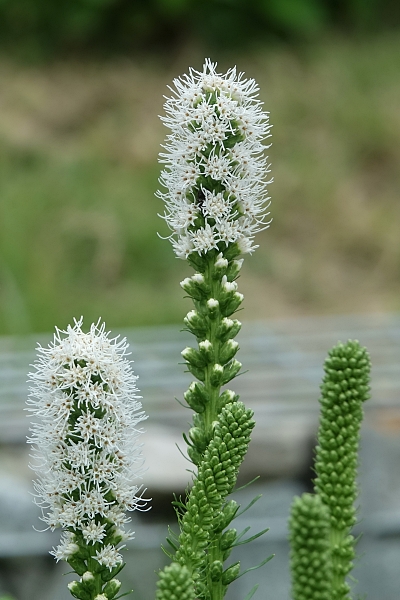 산 023.JPG
