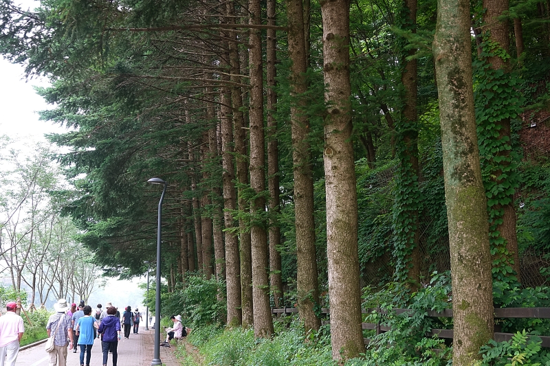 산 054.JPG