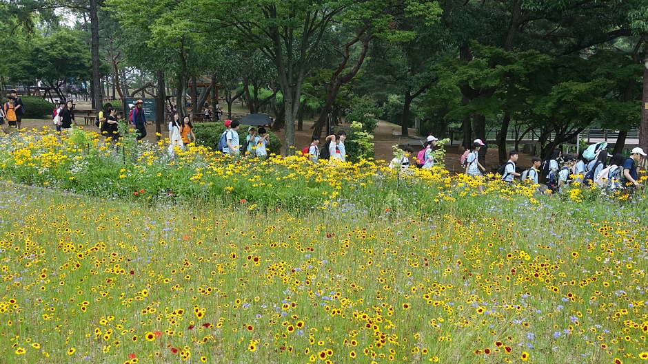 산 034.JPG