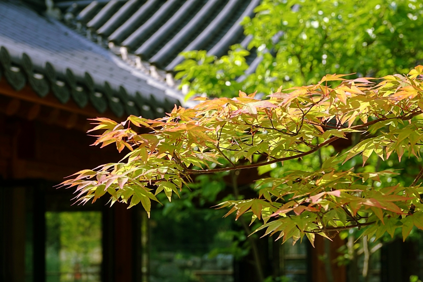 화 01.JPG