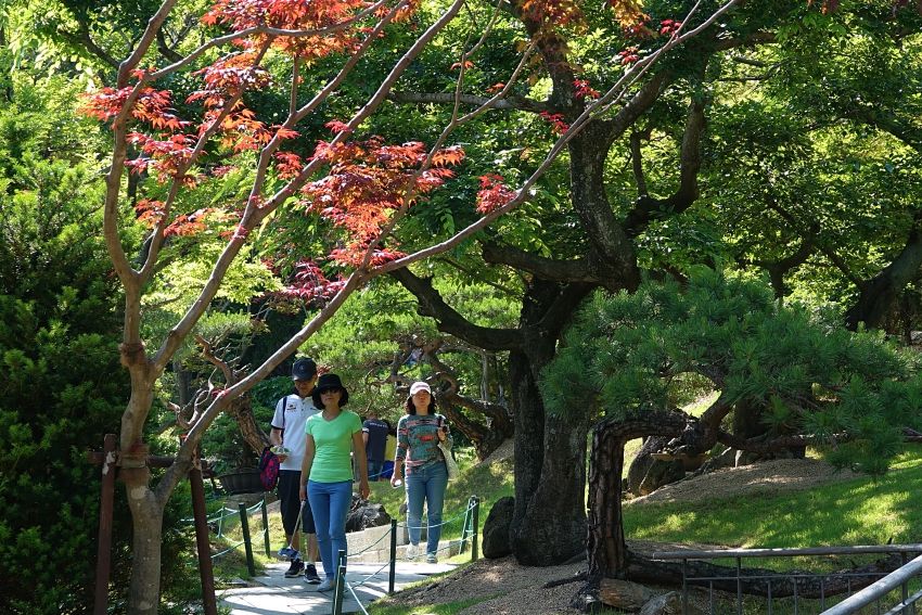 화 032.JPG