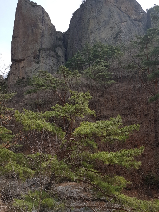 20180318_114449.jpg