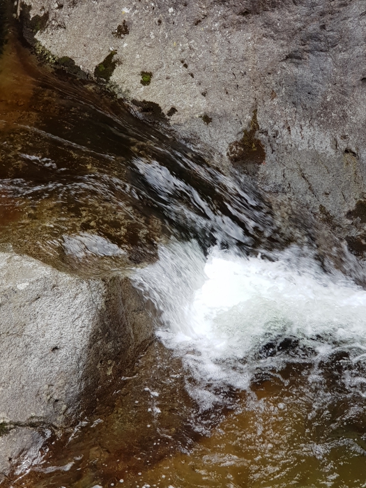 20180318_121143.jpg