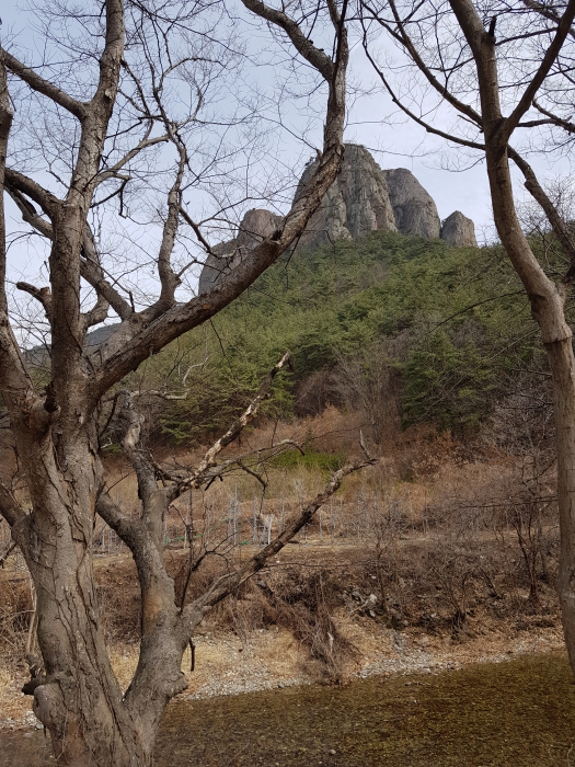 20180318_111345.jpg