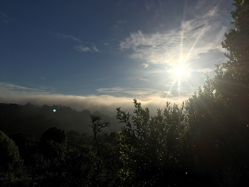 Tilden park, Berkeley 2018-07-18 19.18.06 HDR.jpg