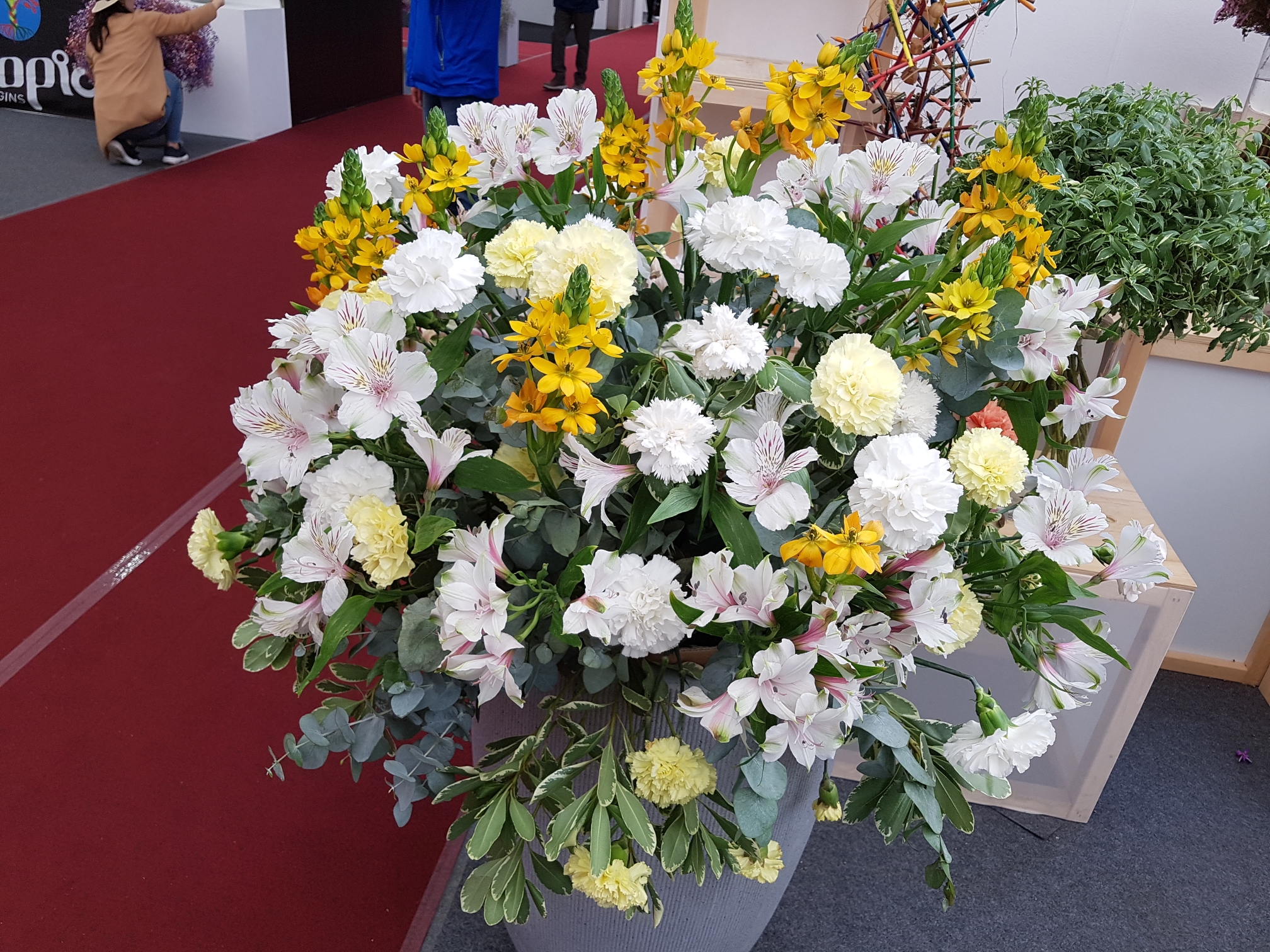 20180504_133347.jpg