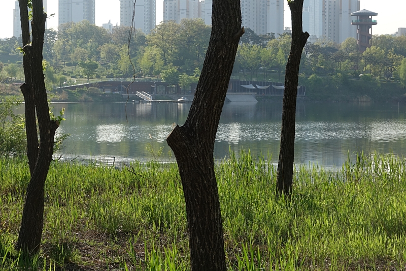 수 015.JPG