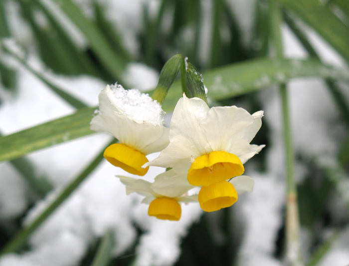 080209-6.jpg