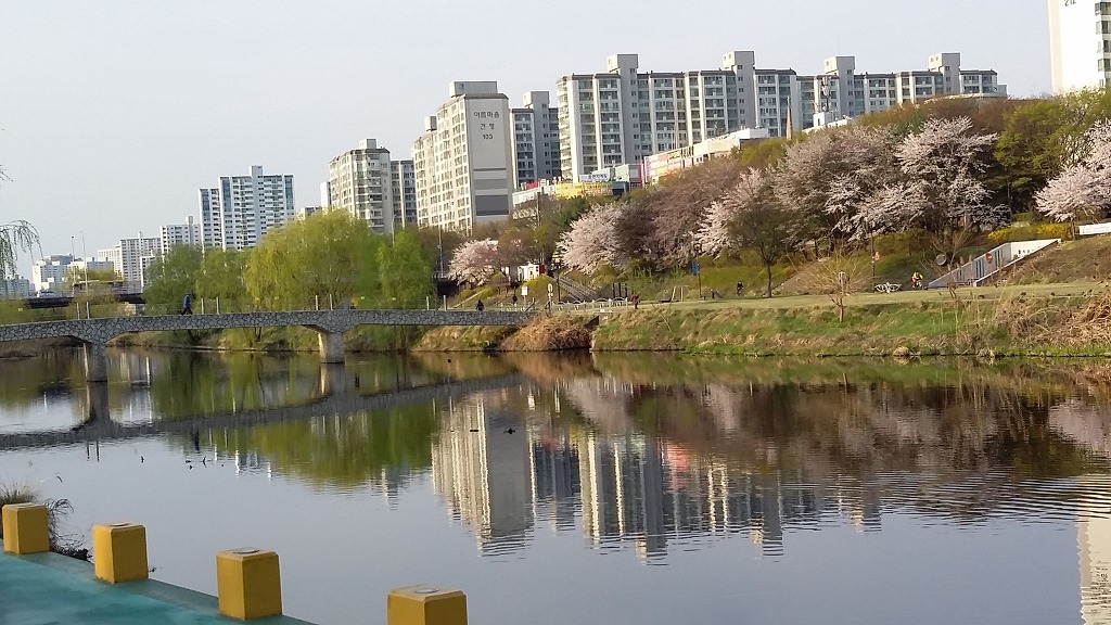 20170410_071538.jpg