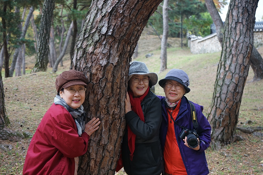 테 050.JPG