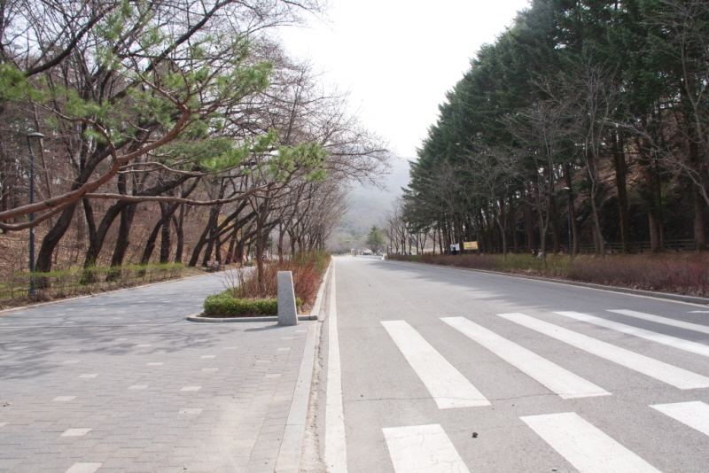[꾸미기][꾸미기]20230324-IMG_4375.jpg