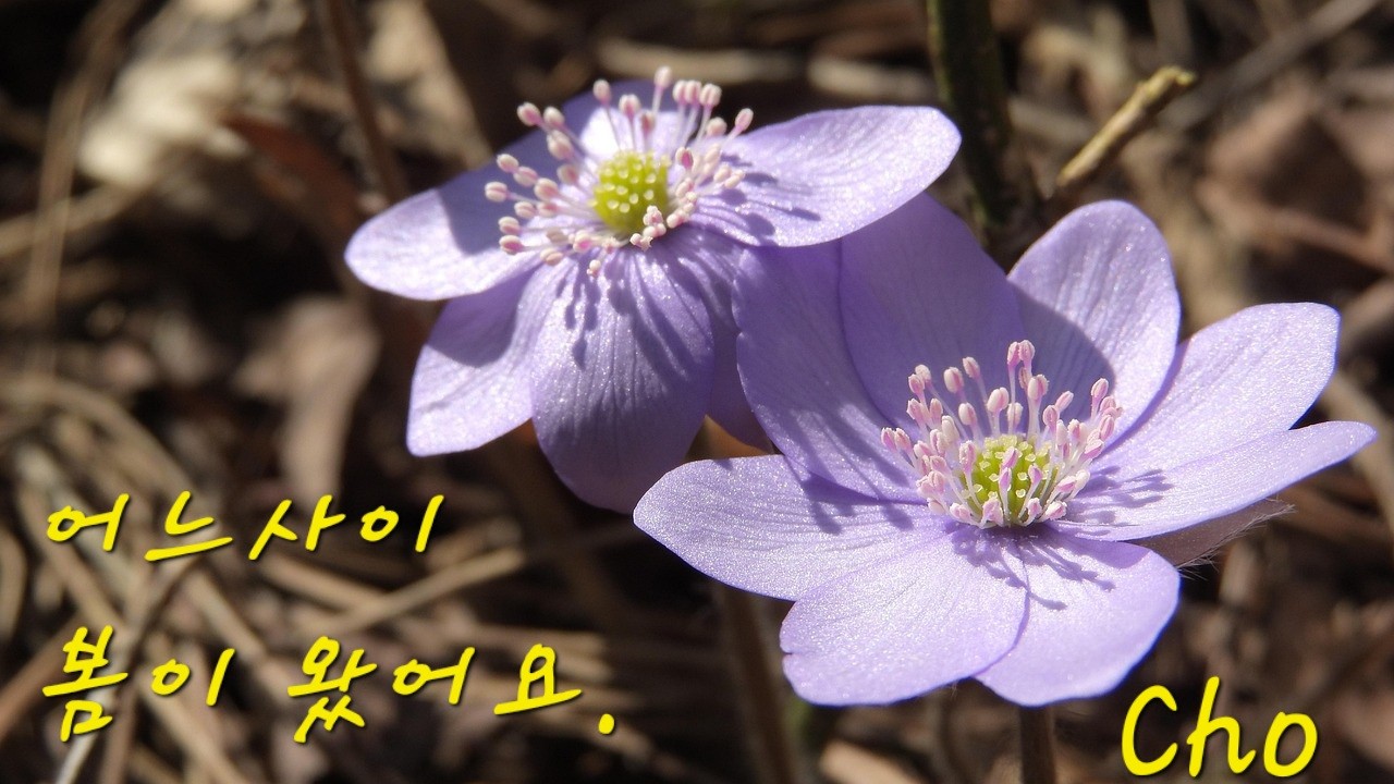 KakaoTalk_20250221_050116478.jpg