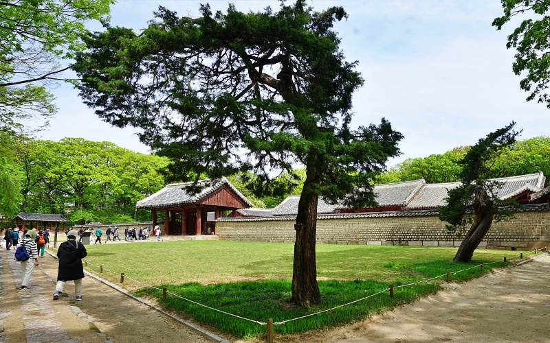 종 026.JPG