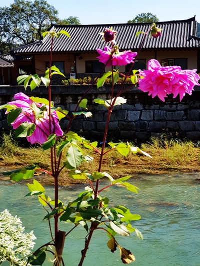 2018-10-07 경남산청 (63).jpg