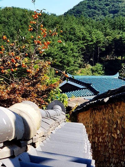 2018-10-07 경남산청 (22).jpg
