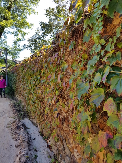 2018-10-07 경남산청 (6).jpg