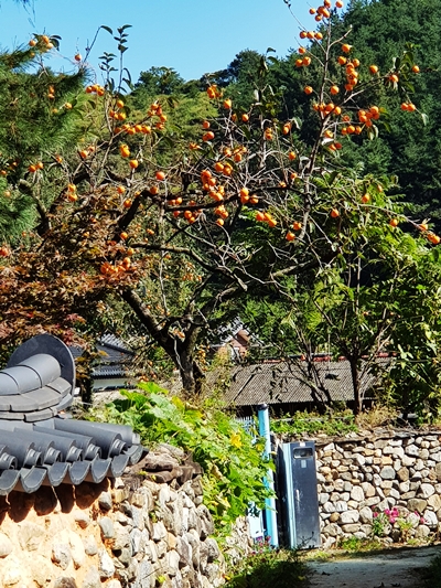 2018-10-07 경남산청 (21).jpg