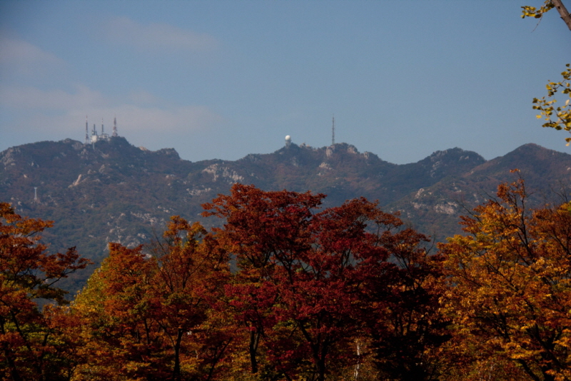 [꾸미기][꾸미기]IMG_7094.jpg