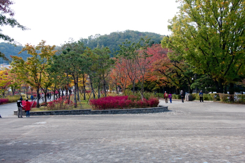 [꾸미기][꾸미기]IMG_7075.jpg