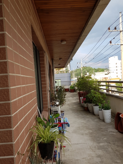 2018-06-18 베란다의 꽃 (1) (10).jpg