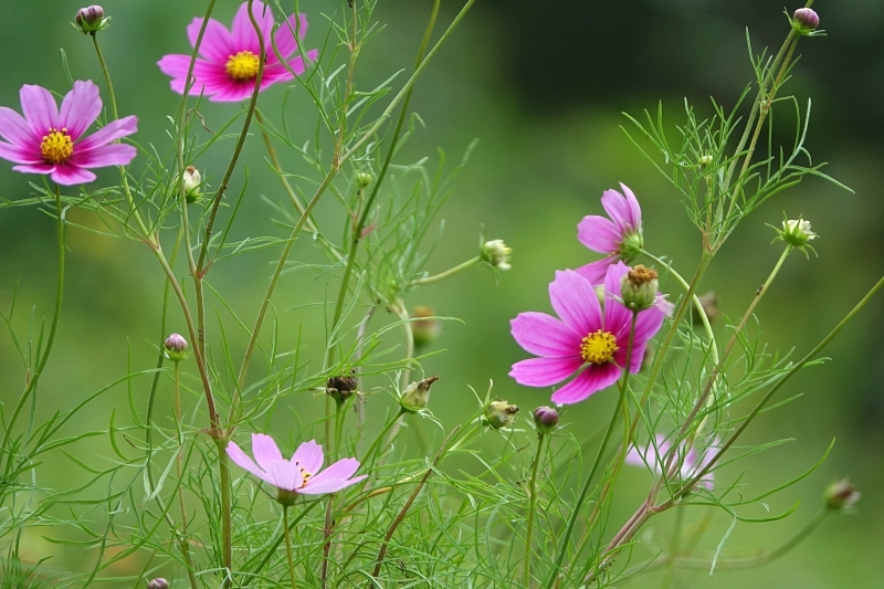 한 065.JPG