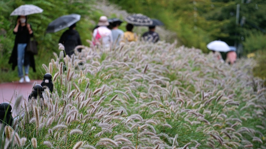 한 085.JPG