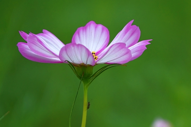 한 069 0.JPG