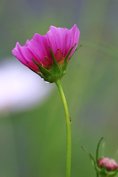 한 051.JPG