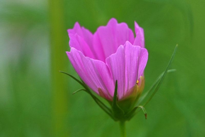 한 068.JPG