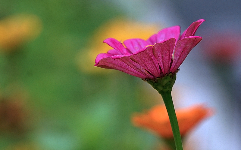 한 078.JPG
