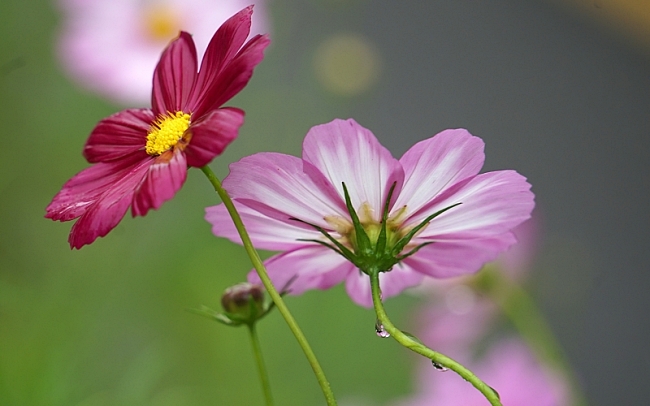 한 075 0.JPG