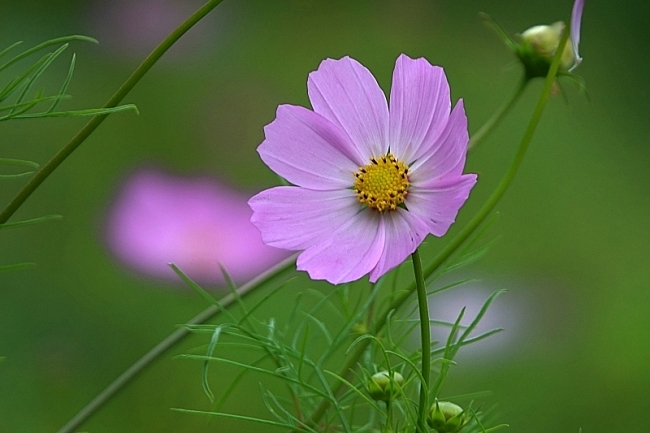 한 066 0.JPG
