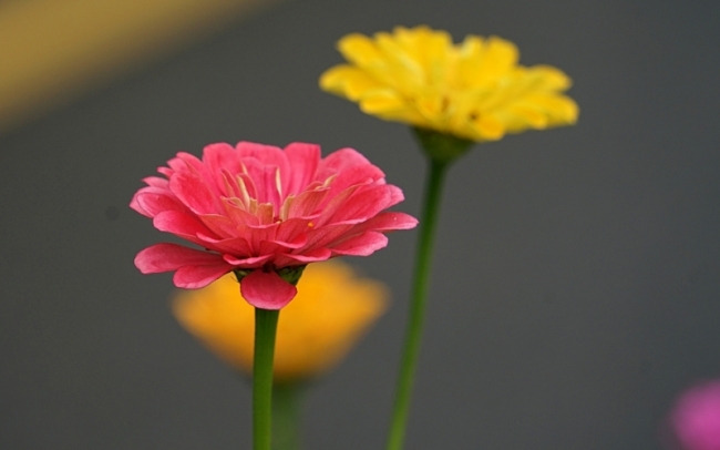 한 043 01.JPG