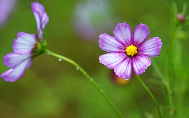 한 074 0.JPG
