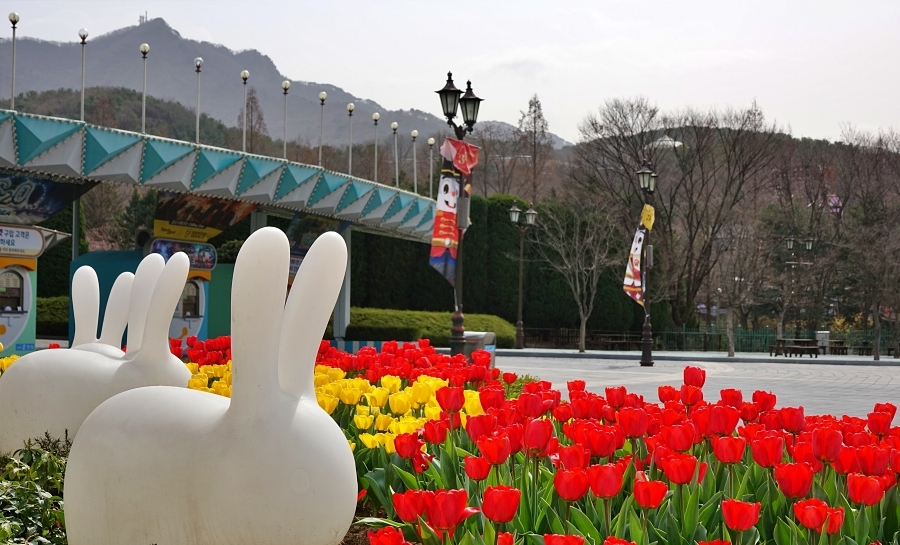 산 019.JPG