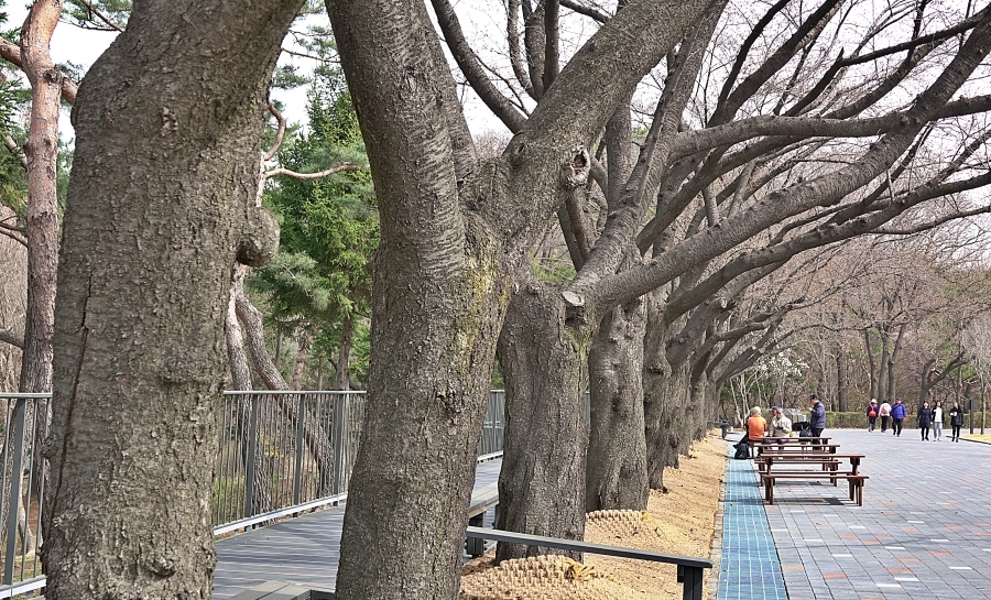 산 010.JPG