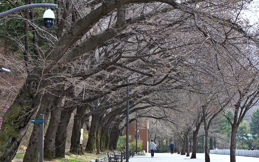 산 011.JPG