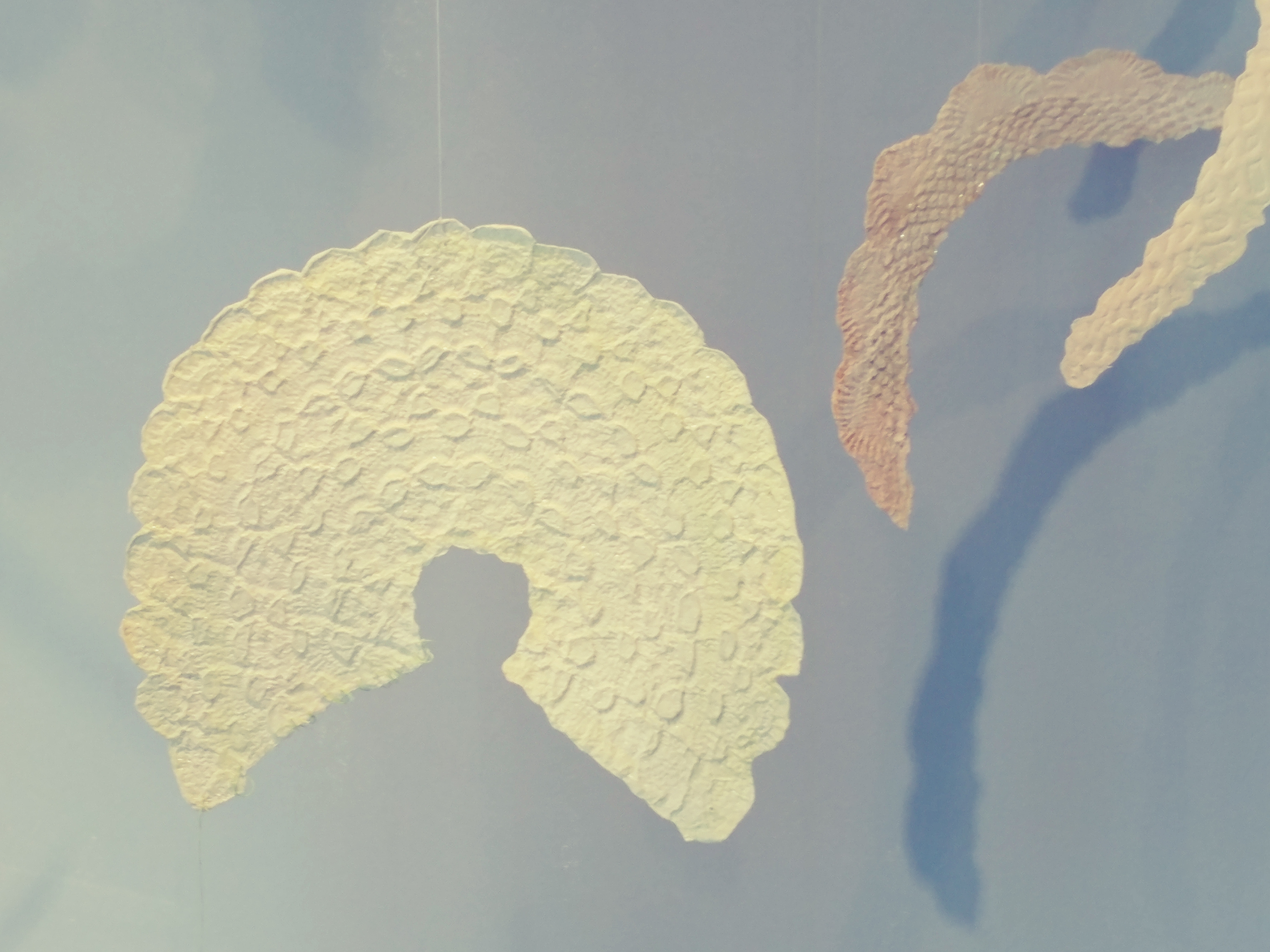 20180404_162545_Film1.jpg