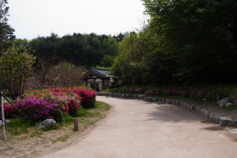 꾸미기_꾸미기_AIMG_0525.jpg