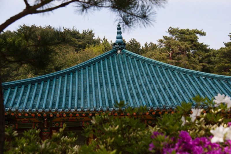 꾸미기_꾸미기_AIMG_0529.jpg
