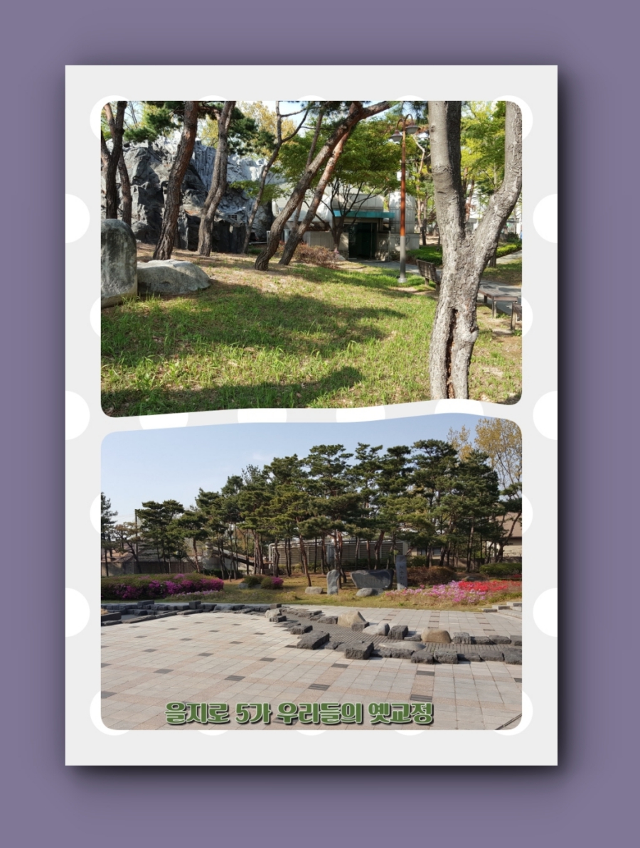 collage16.jpg