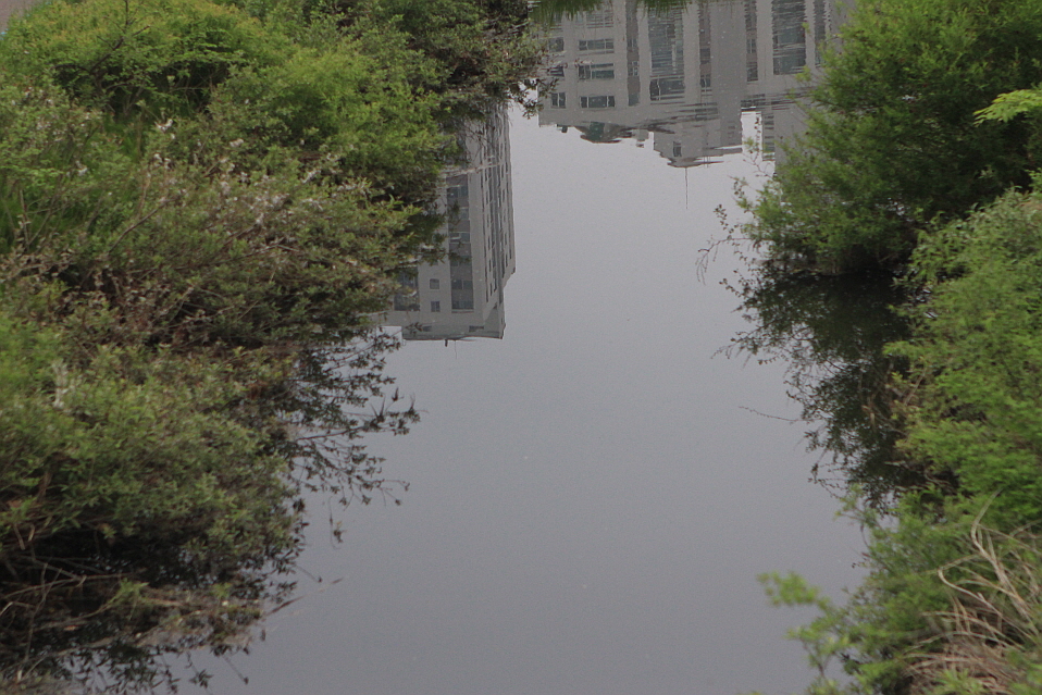 꾸미기_IMG_6987.JPG